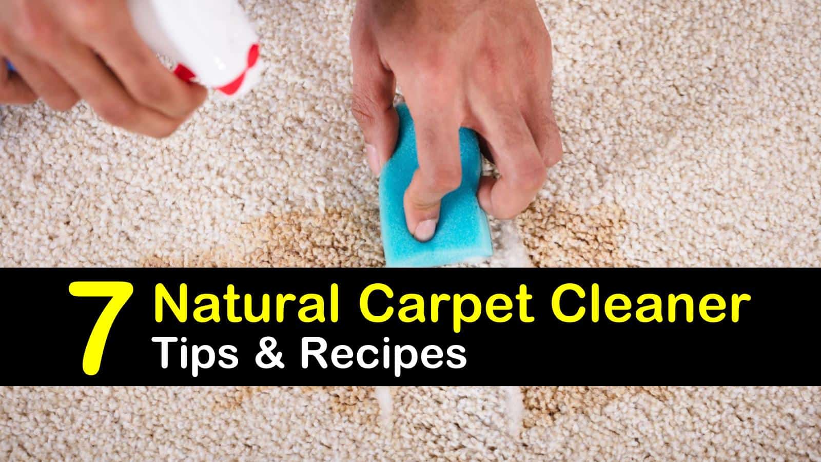 natural carpet cleaner titleimg1