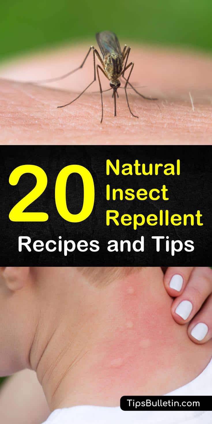 Learn how to get rid of bugs with natural insect repellent tips and recipes. Keep bugs away from your skin with these natural insect repellents that use simple ingredients like peppermint oil, witch hazel and various plants for pest control. #naturalinsectrepellent #repelbugs, #DIYinsectspray