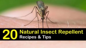 natural insect repellent titleimg1