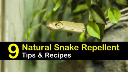 repellent snakes tipsbulletin repellant