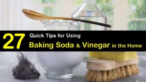 baking soda and vinegar titleimg1
