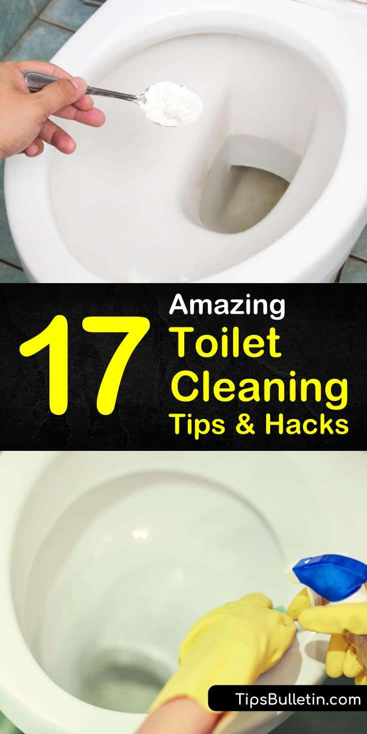 How to Clean a Toilet – Expert Tips For Toilet Cleaning