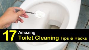 how to clean a toilet titleimg1