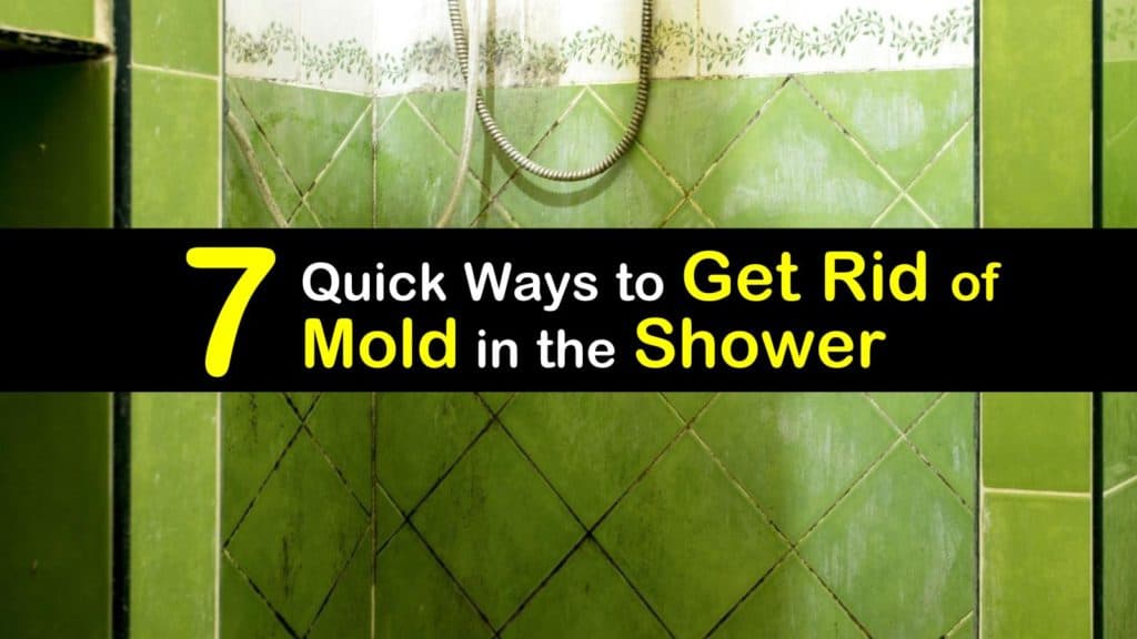 7 Quick Ways to Get Rid of Mold in the Shower
