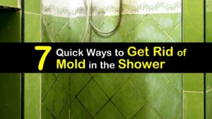 mold in the shower titleimg1