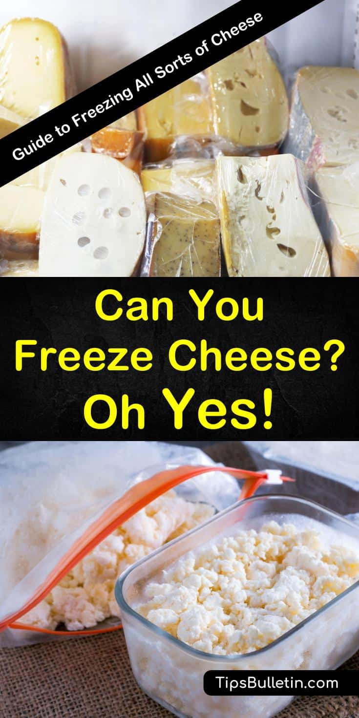 Can you freeze cheese? Learn how to freeze cheese to extend its shelf life. With tips and for freezing all kinds of cheese, including hard, semi-hard, soft cheese and cheese slices, you can keep your cheese for longer and still use it in all your favorite recipes. #freeze #cheese #howto #frozen