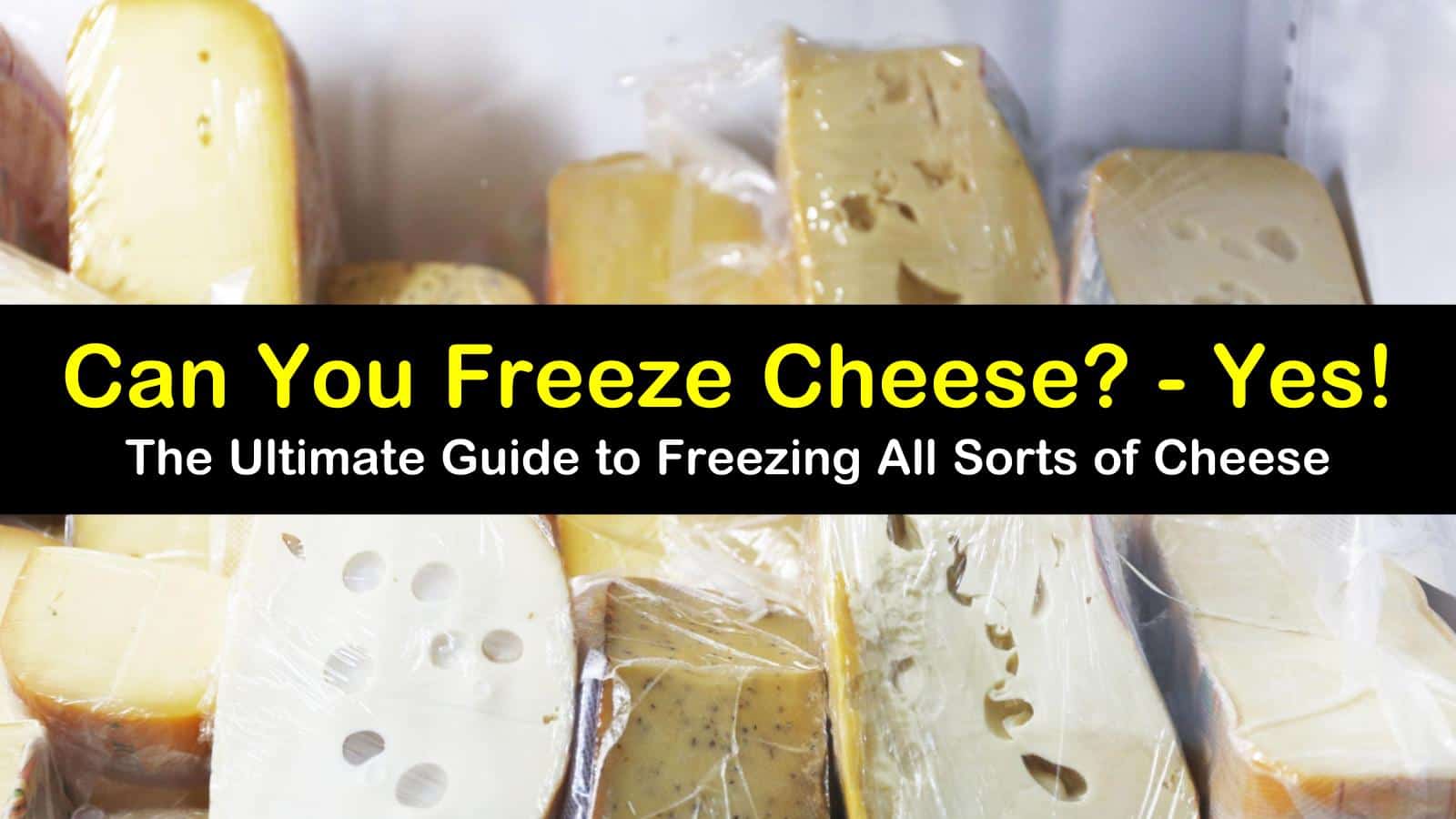 Freezing in the Freezer (Cold Freezing) Can-you-freeze-cheese-t1