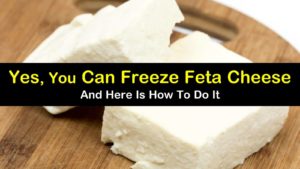 can you freeze feta cheese titleimg1