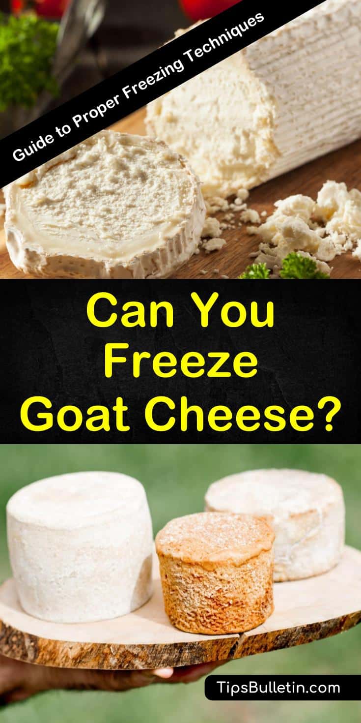 Can you freeze goat cheese? You bet! Our guide shows you how to freeze solid and spreadable goat cheese so you can enjoy its unique flavor and health benefits all year long. Discover how easy freezing goat cheese can be! #chevre #freeze #goatcheese #freezingcheese