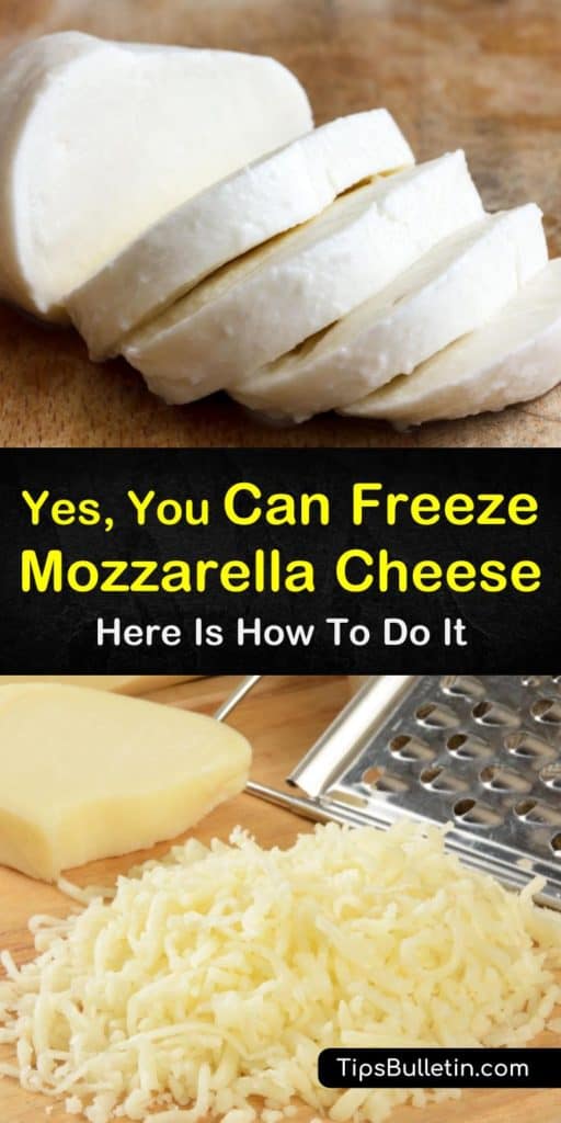 Yes, You Can Freeze Mozzarella Cheese Here is How to Do It