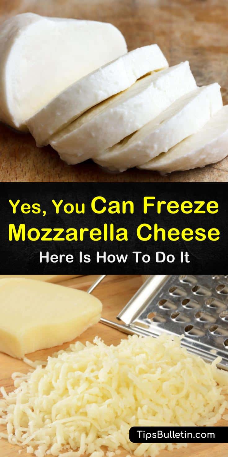 Can you freeze mozzarella cheese in slices, in a block, or shredded? Yes, our guide will help you fill your freezers with frozen cheese and will keep you fed and happy all year long. #mozzarella #freezing #cheese