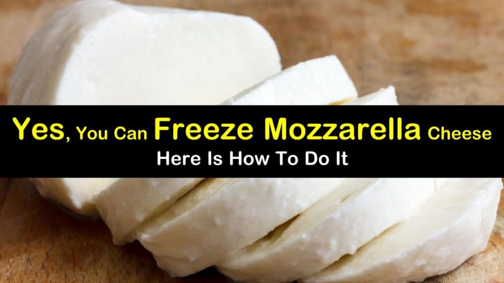 Yes, You Can Freeze Mozzarella Cheese Here is How to Do It