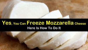 can you freeze mozzarella cheese titleimg1