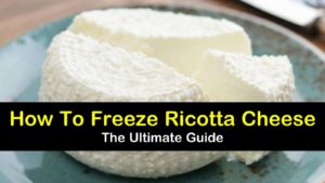 can you freeze ricotta cheese titleimg1