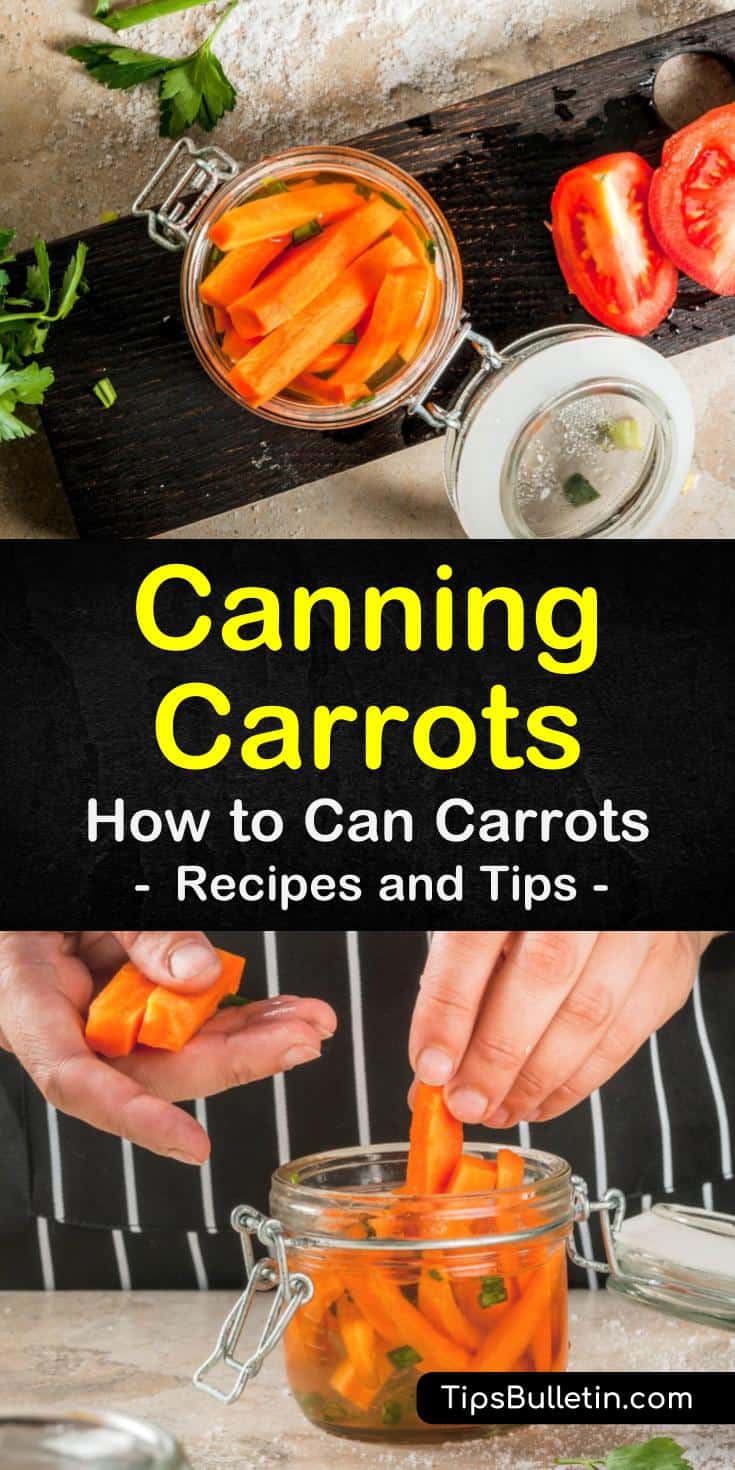 Discover that canning carrots without a water path or in instant pot is easy with our handy guide. We show you how to cold pack and pressure can your carrots, and we share our favorite recipe. You’ll soon be making your veggies and cream cheeses shine with our help! #canning #carrots