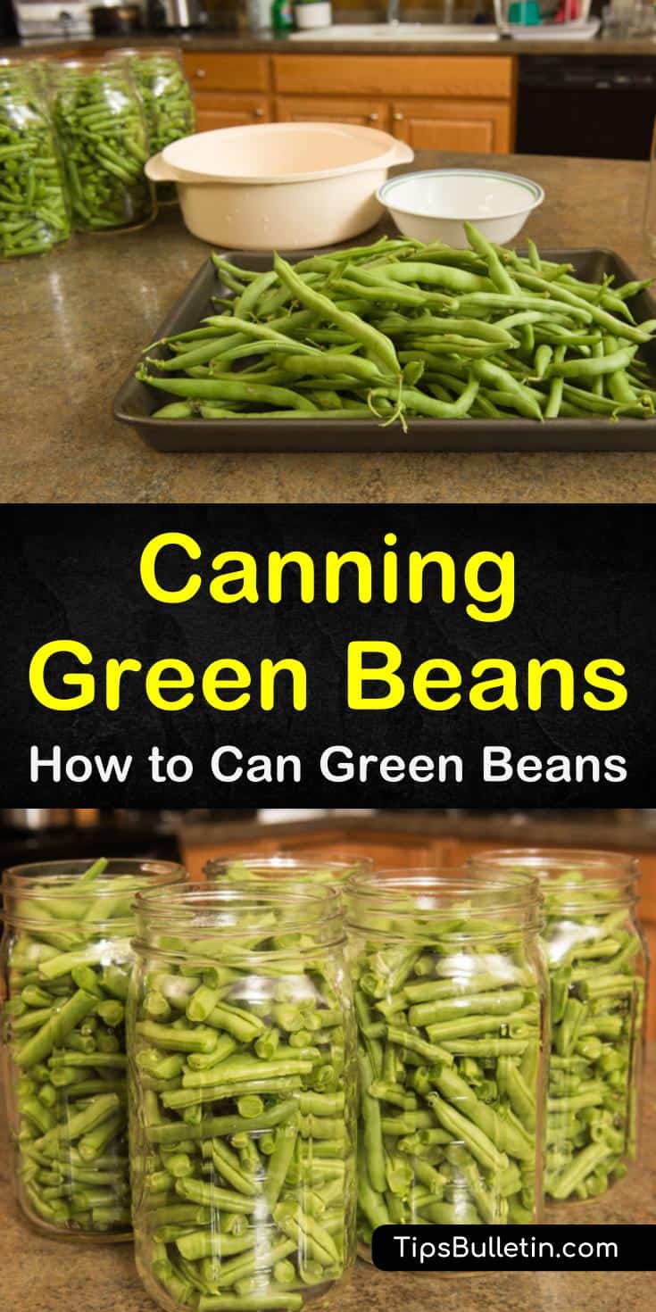 We show you the best method for canning green beans in jars without a canner using a water bath and presser, so you can use your beans in instant pot recipes, with cheese, with bacon, and with vinegar and pickled vegetables. #canning #beans #preserves