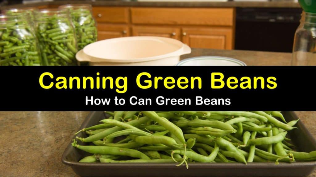 The 1 Way to Can Green Beans
