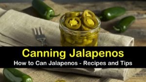 canning jalapenos titleimg1