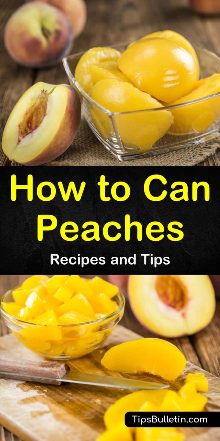 Discover how to use an instant pot for canning peaches in jars in water with no sugar or in juice. Our guide for beginners will show you how to have fresh peaches year round. With cinnamon and butter, your preserves will turn into tasty pie fillings in no time! #preserves #peaches #canning