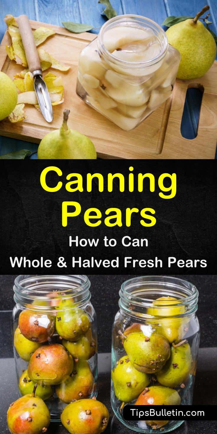 We all know that pears taste better fresh but sometimes we want to eat them in the colder months. Learn how canning pears can help you have delicious fruit all year. #canningpears #preservefood