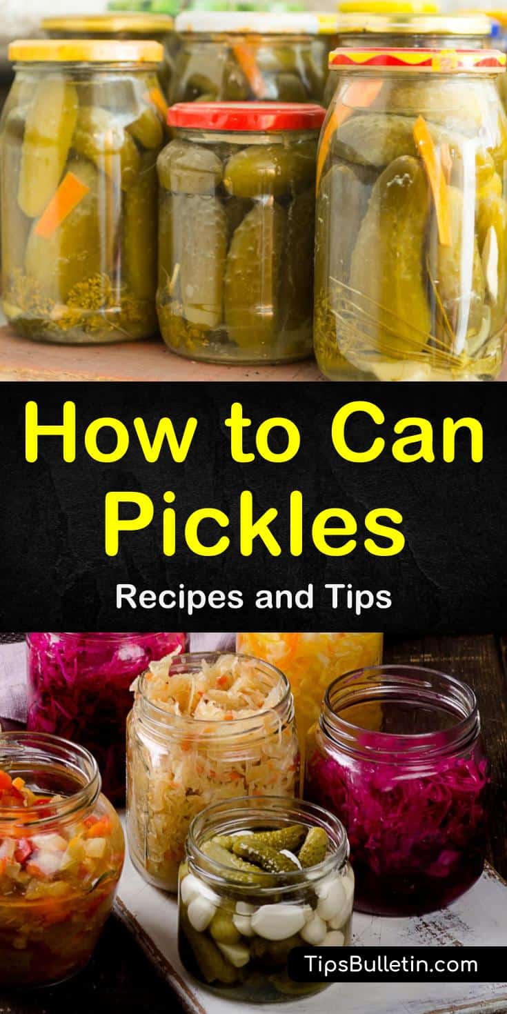 Discover the best ways for canning pickles! Our guide for beginners will enhance your cooking and fill your shelves with crunchy, spicy, sweet, garlic, and simple pickles using a water bath. Your sweets and recipes will shine! #pickling #canning #pickles