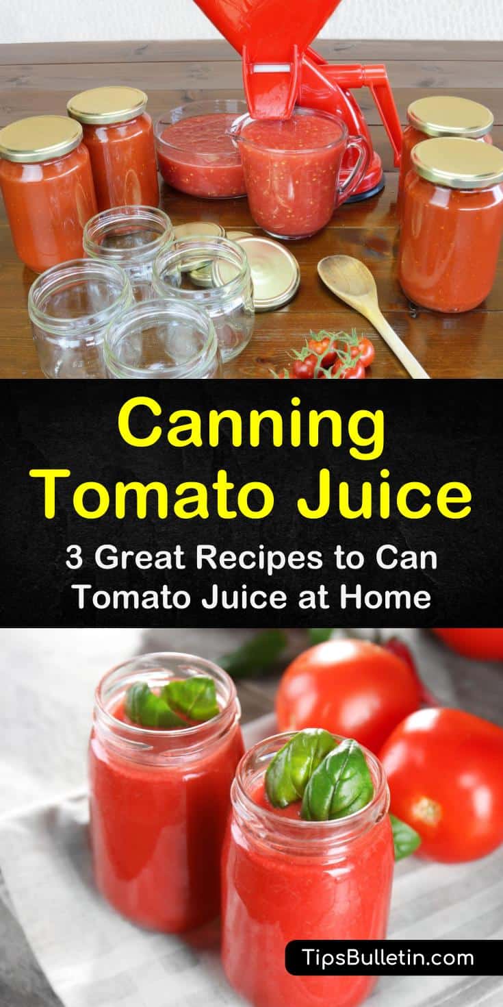 Find out how canning tomato juice works! These easy recipes require few ingredients, and our simple guide makes canning easy. #tomatojuice #canning #tomatojuicerecipes