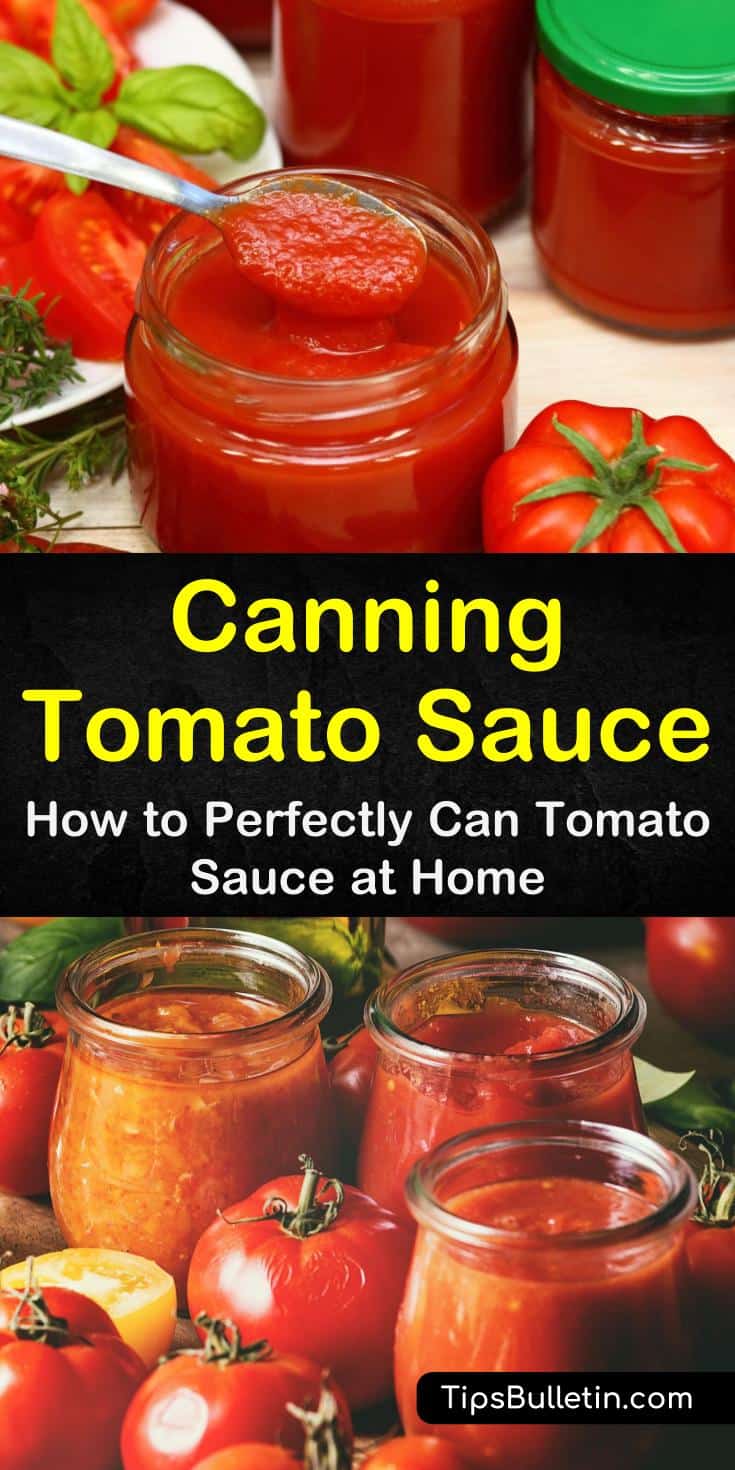 Discover how to make spaghetti with meat sauce recipes and other comfort foods all year long! Our guide to canning tomato sauce in Ball jars in a pressure canner or in an instant pot water bath without a canner is perfect for beginners. #canning #homepreserves #tomatoes