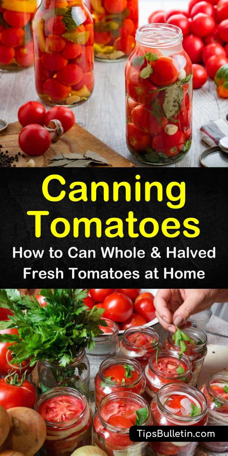 Discover the secrets for canning tomatoes. The simple process is great for beginners without a canner. You can make easy recipes for spaghetti sauce and stew with the tomatoes you can and other simple recipes. #tomatoes #canning