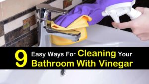 cleaning bathroom with vinegar titleimg1