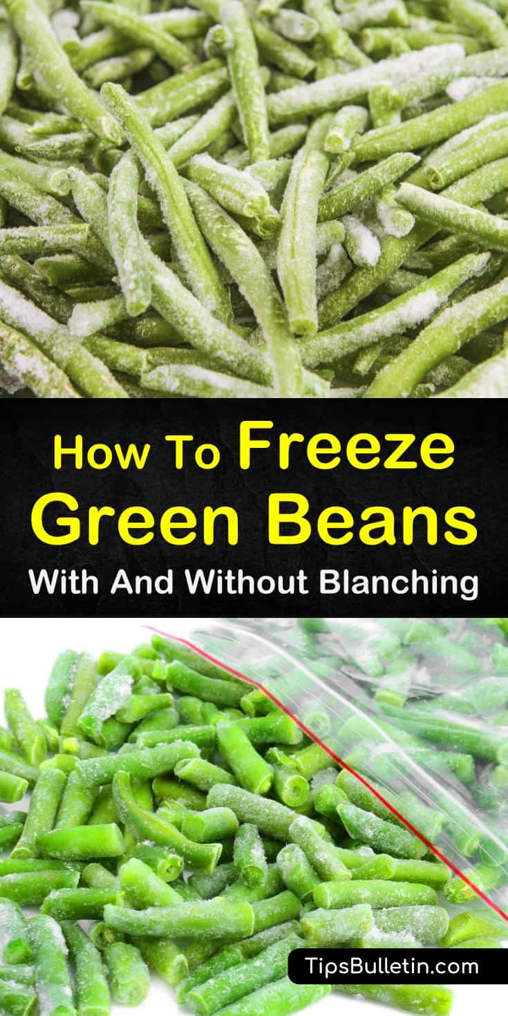 Find out how to freeze green beans with and without blanching. Our guide gives you step by step instructions to take your beans from garden soil to the freezer to your plate and keep them as delicious as the day they were picked! #homepreservation #greenbeans #freezing