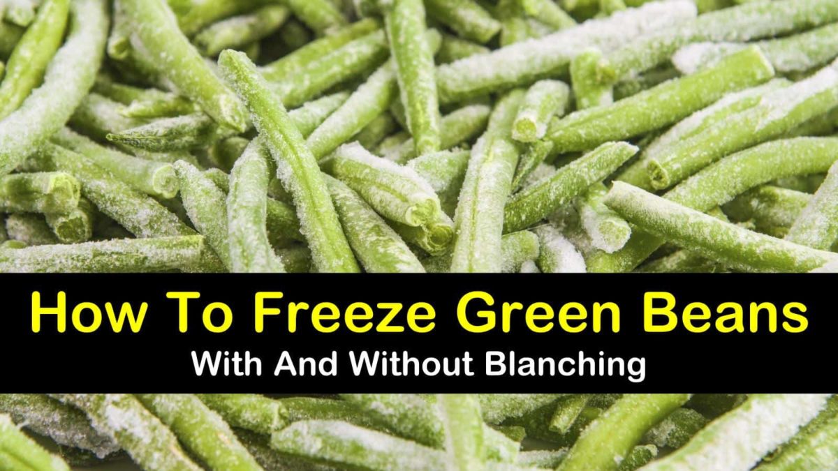 2 Amazing Ways To Freeze Green Beans