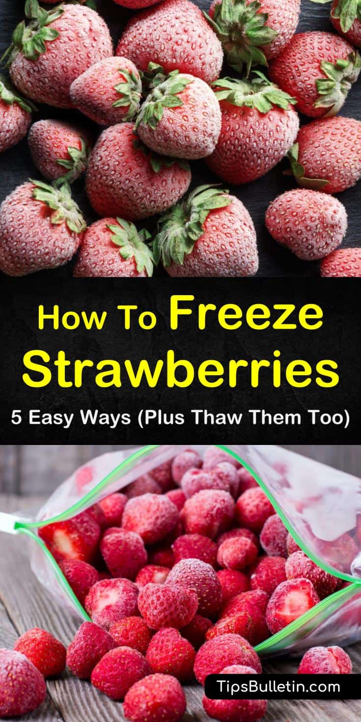 Discover how to freeze strawberries with sugar and without. Our guide gives you simple step by step instructions on how to store fresh fruit for smoothies, desserts, and healthy meal options! #freezing #strawberries