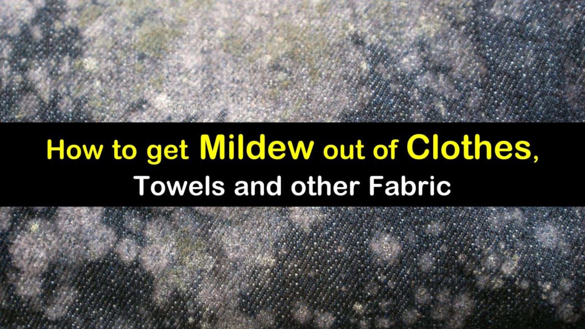 18 Smart & Simple Ways to Get Mildew Out of Clothes