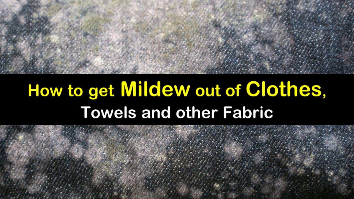 7 Smart & Simple Ways to Get Mildew Out of Clothes