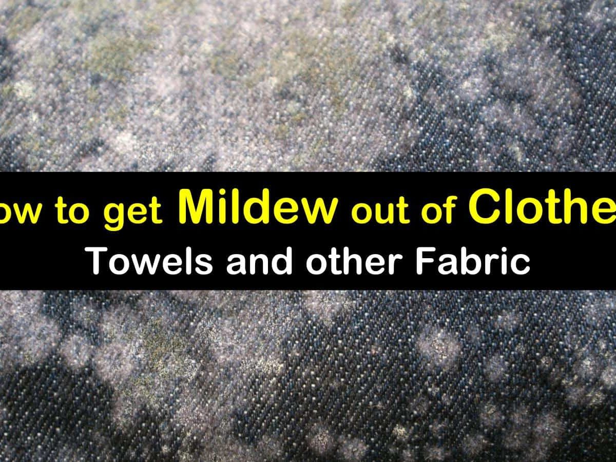 26 Smart & Simple Ways to Get Mildew Out of Clothes