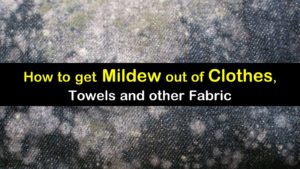 how to get mildew out of clothes titleimg1