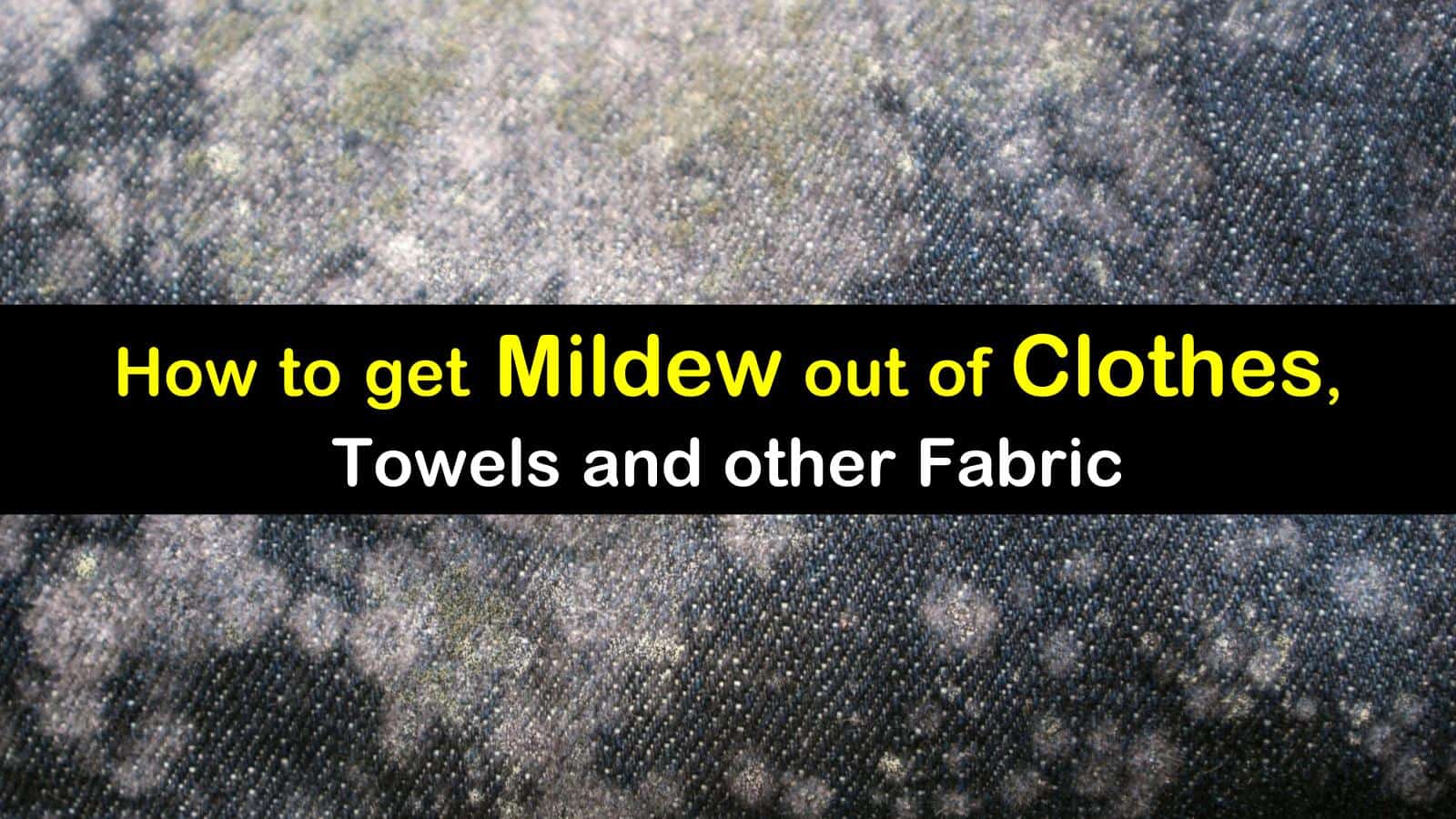 9 Smart Simple Ways To Get Mildew Out Of Clothes