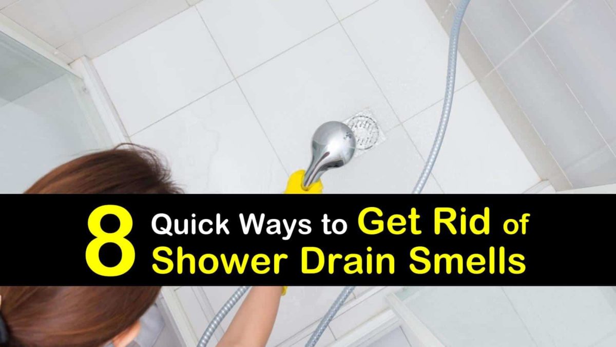 8 Quick Ways to Get Rid of Shower Drain Smells
