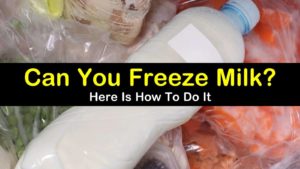 can you freeze milk titleimg1