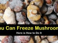 can you freeze mushrooms titleimg1
