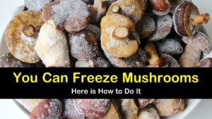 can you freeze mushrooms titleimg1