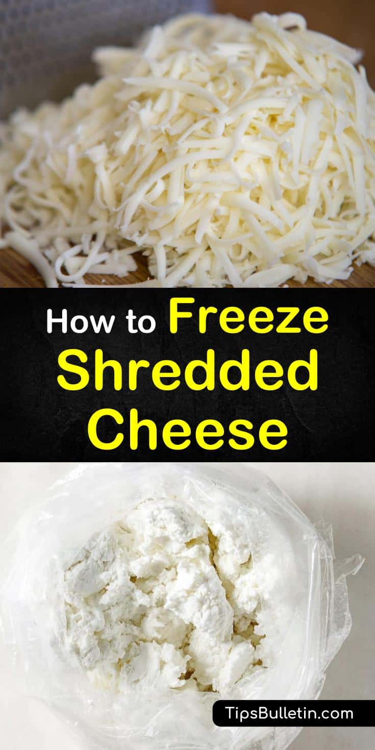 Yes, you can freeze shredded cheese. Learn the best methods for freezing, storing, and thawing shredded cheeses. These tips and tricks will show you the best strategies based on the type of cheese, its size, and condition. #freeze #shredded #cheese