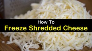 can you freeze shredded cheese titleimg1
