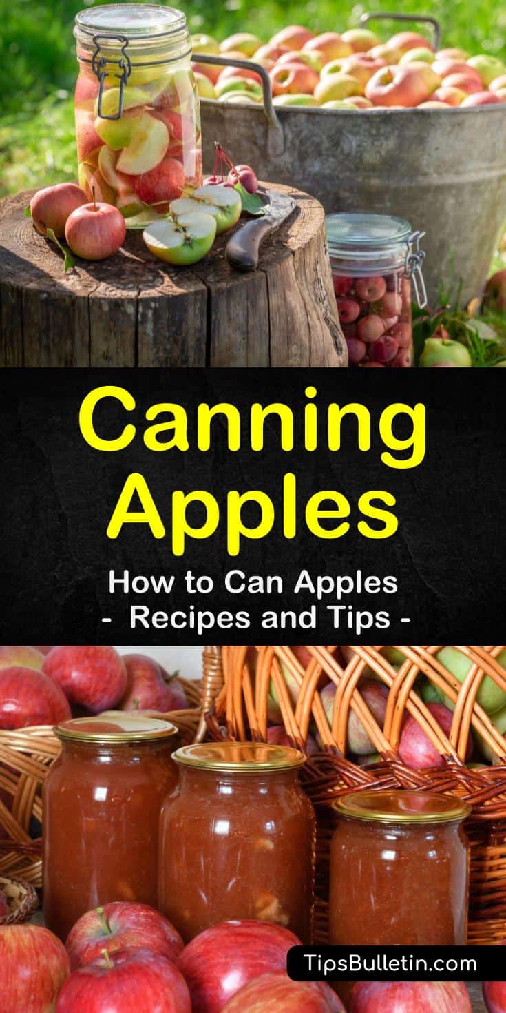 Discover how to can apples so you can enjoy these delicious, sweet treats all year long. Canning apples is an easy process that will allow you to make all kinds of delicious treats like pie filling, apple butter, applesauce, and apple juice. #canapples #canningapples #preserveappleswithcanning