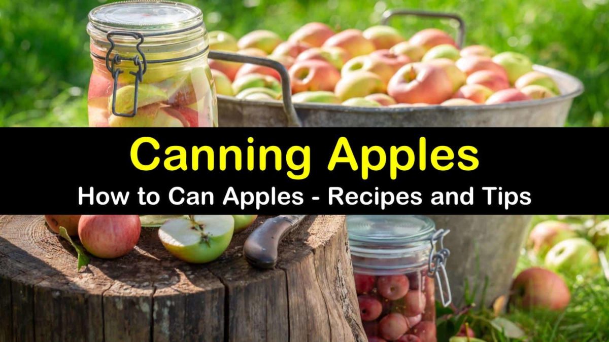 2 Simple & Delicious Ways to Can Apples