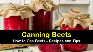 canning beets titleimg1