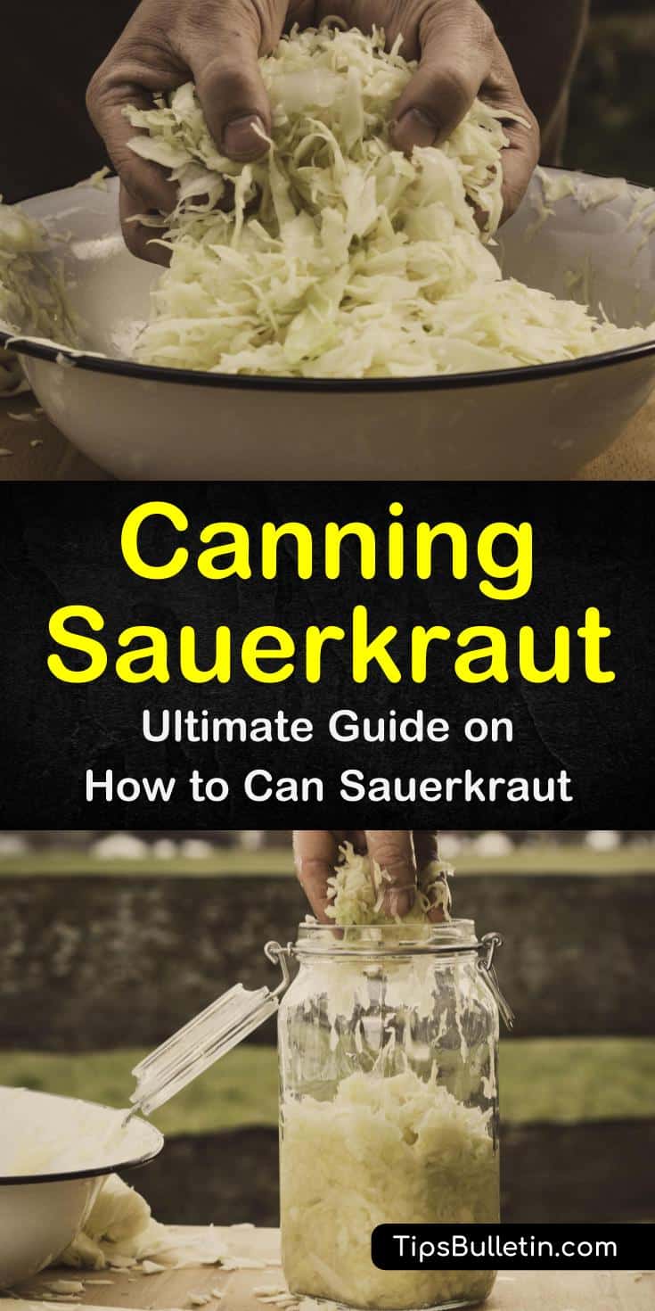 Discover how to can homemade sauerkraut using simple supplies like salt and mason jars. Follow these step-by-step procedures to ferment foods for powerful immunity boosters. Learn new recipes for canned sauerkraut dishes. #canning #sauerkraut #fermenting