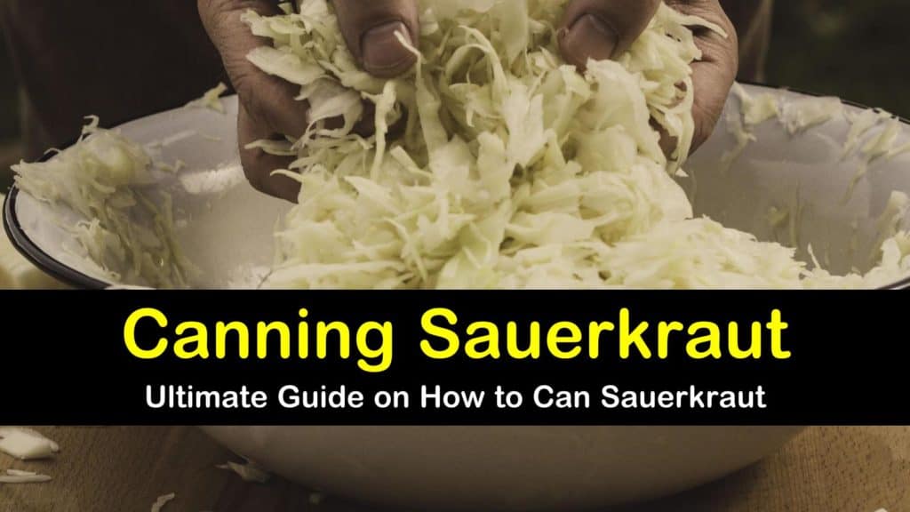 How to Ferment & Can Sauerkraut the Easy Way