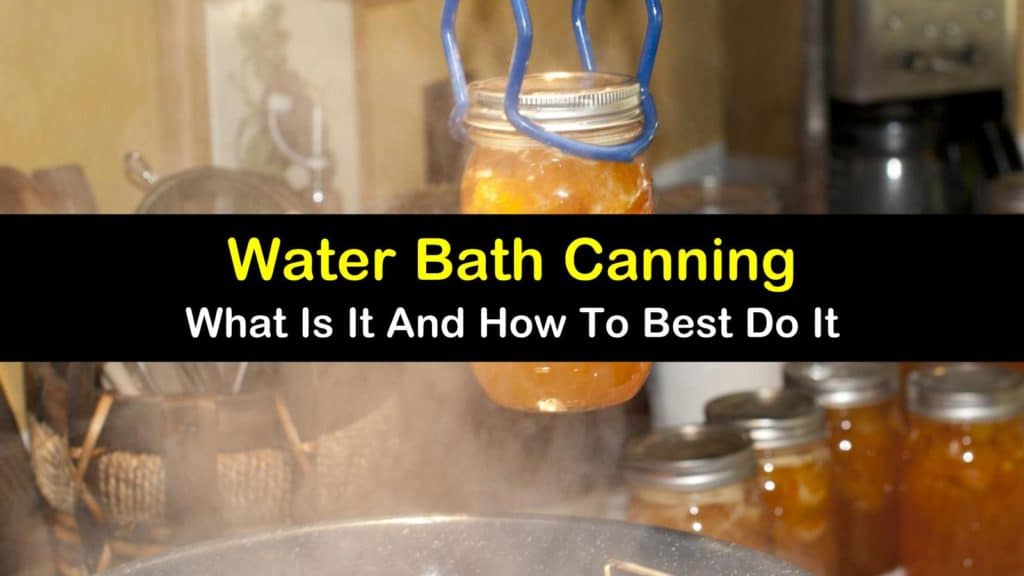 6 Important Factors to Consider When You Water Bath Can Foods