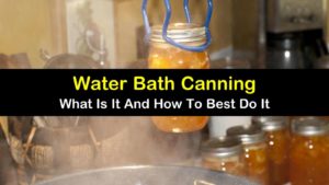 water bath canning titleimg1